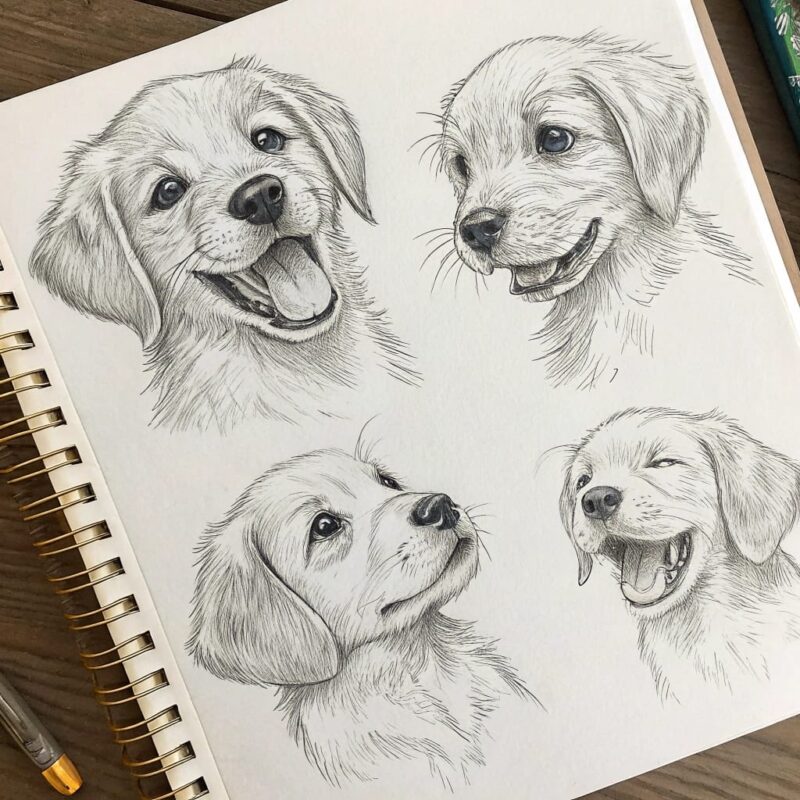 sketchbook page with multiple pencil sketches of a