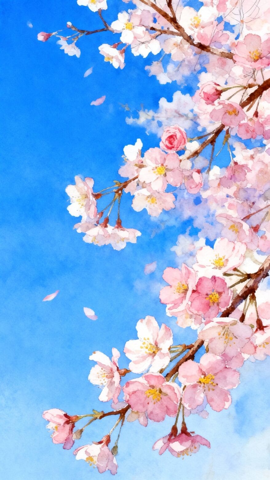 Watercolor Cherry Blossom Branch on Sky Blue Background
