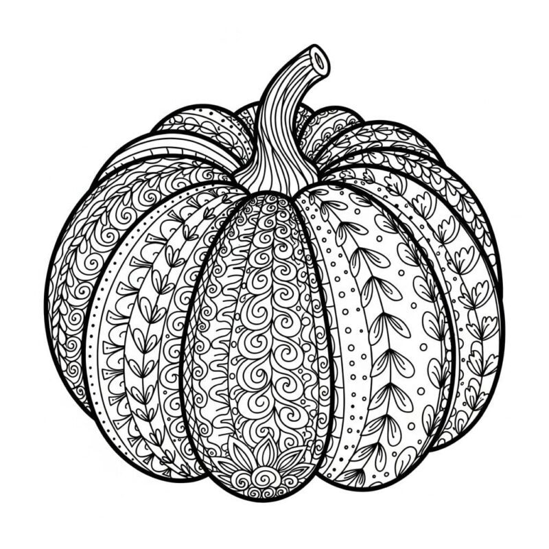 10 Cute Pumpkin Doodles easy drawing ideas and steps 10 bnbp