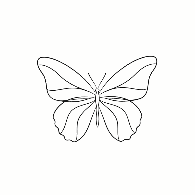 10 Cute and Easy Butterfly Doodle Drawings 10 cfv
