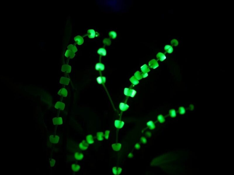 12 Beaded Plants Ideas tutorial : Create Your Own Colorful Garden 8 glow in the dark image