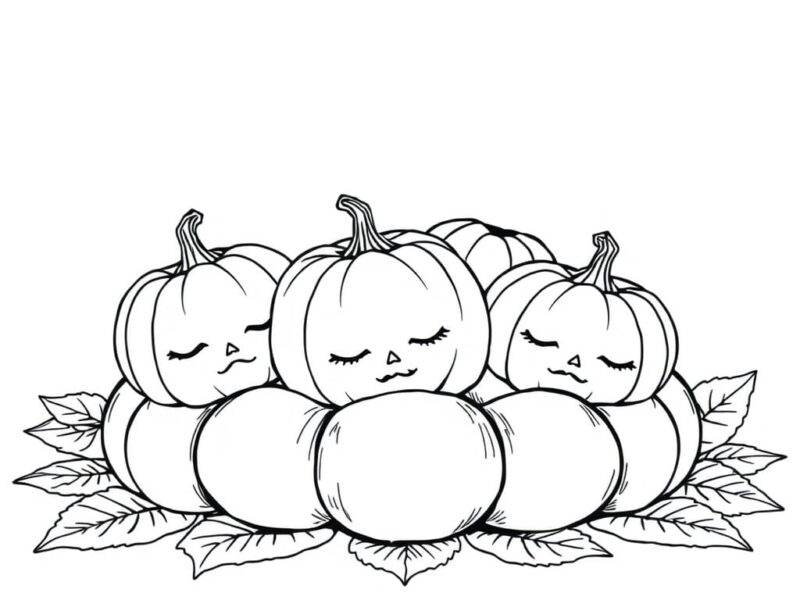 10 Cute Pumpkin Doodles easy drawing ideas and steps 5 line drawing of a image