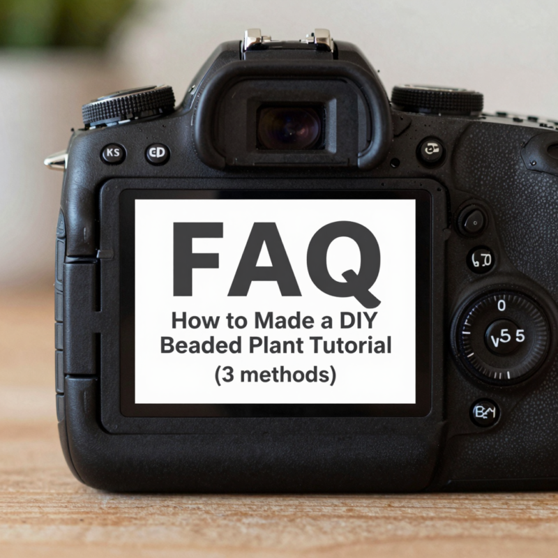FAQ