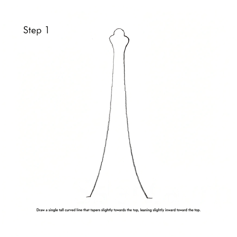 clean-pencil-drawing-tutorial-showing-step-1-of-dr clean pencil drawing tutorial showing step 1 of dr