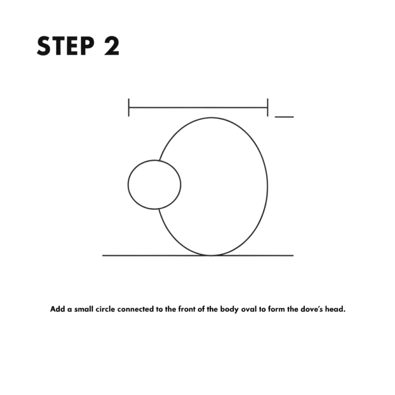 step 2 dove drawing guide add a small circle conn