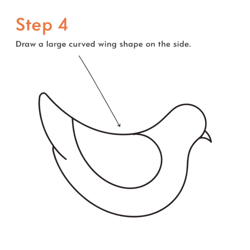 step 4 dove drawing guide draw a large curved win