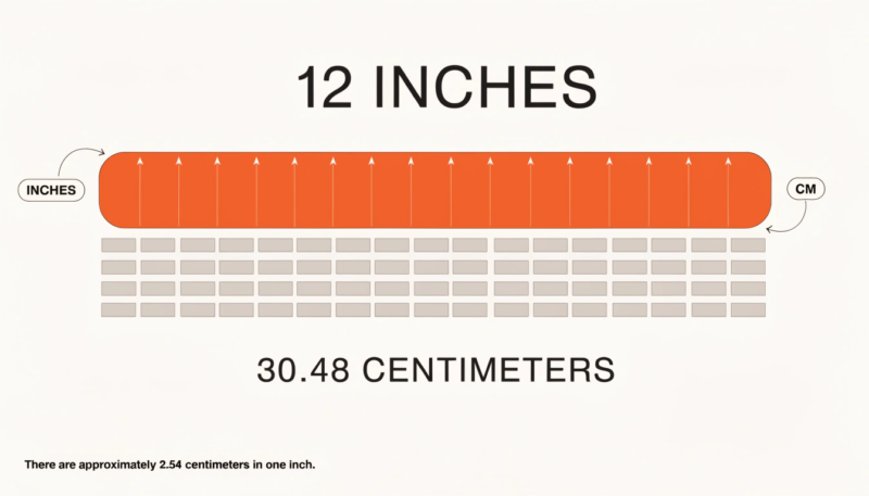 a flat style infographic showing a 12 inch bar spl
