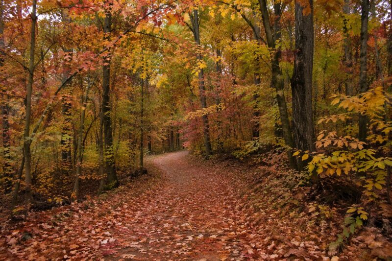 Fall Art: Definition, History, and Recurring Themes 4 Historical Significance of Seasonal Landscapes