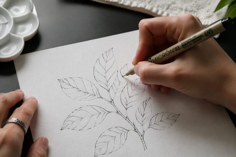 Step 2: Establish the leaf structure with the midrib and main veins