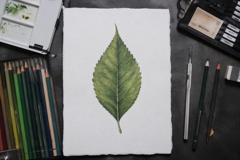 Step 5: Block in fall colors (base first, shadows second)