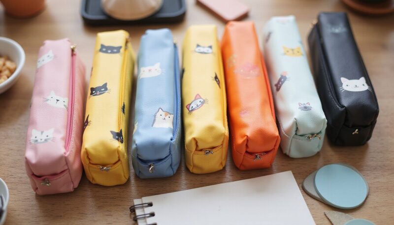 1. Lihit Lab Cat's Daily Routine Pen Case