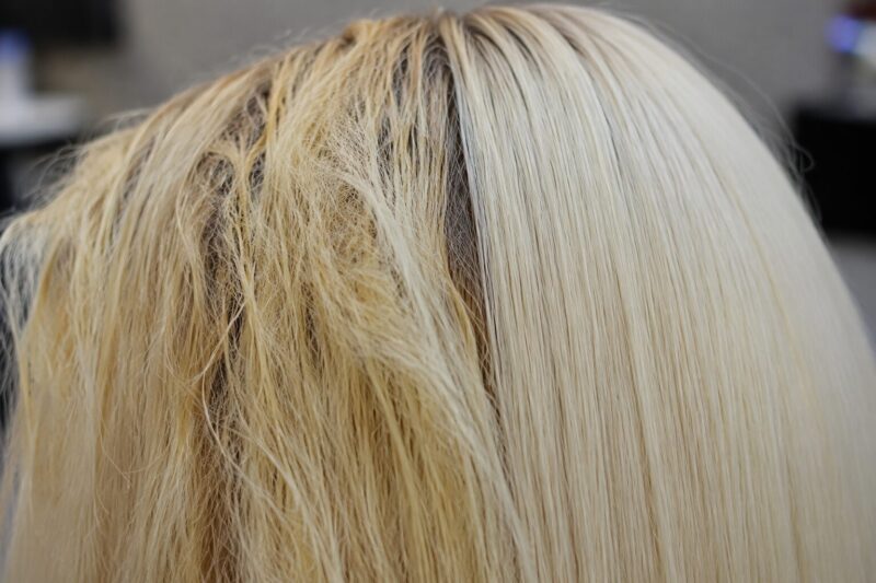 How to Make Neapolitan Hair Color Like a Pro 4 Step 4: Divide Your Hair Into Three Distinct Zones