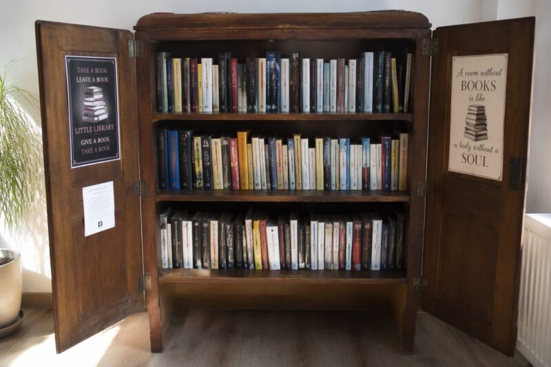 2. Painted Wooden Cabinet Library