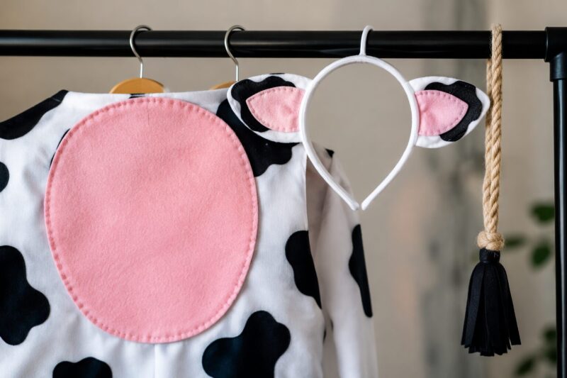 Step 3: Add Traditional Cow Accessories