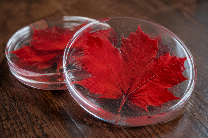 3. Botanical Resin Decor