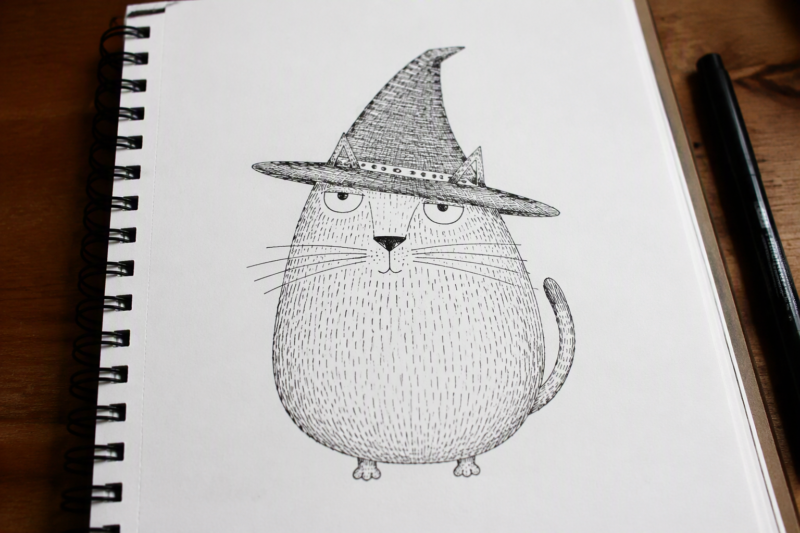 4. Cat With a Hat