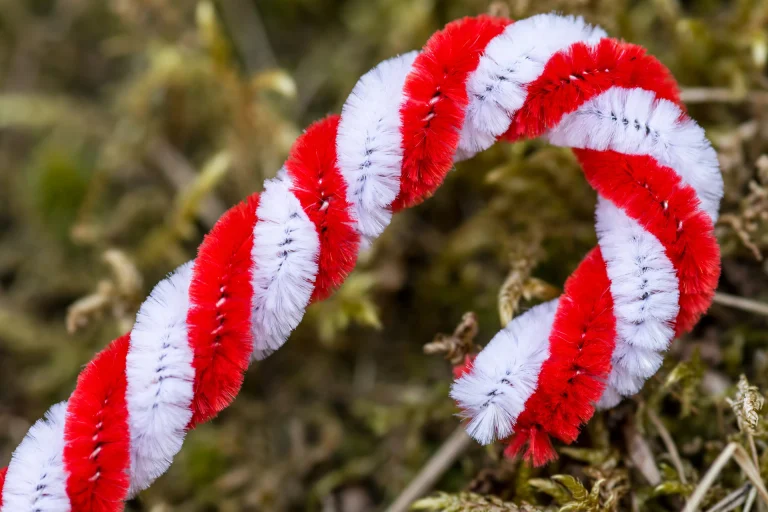 12 Easy Pipe Cleaner Christmas Crafts 6 image 1