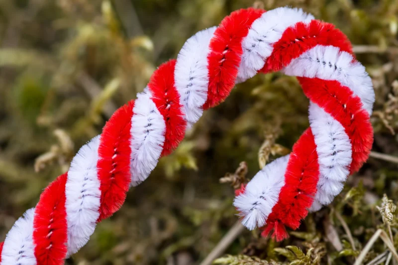 12 Easy Pipe Cleaner Christmas Crafts image (1)
