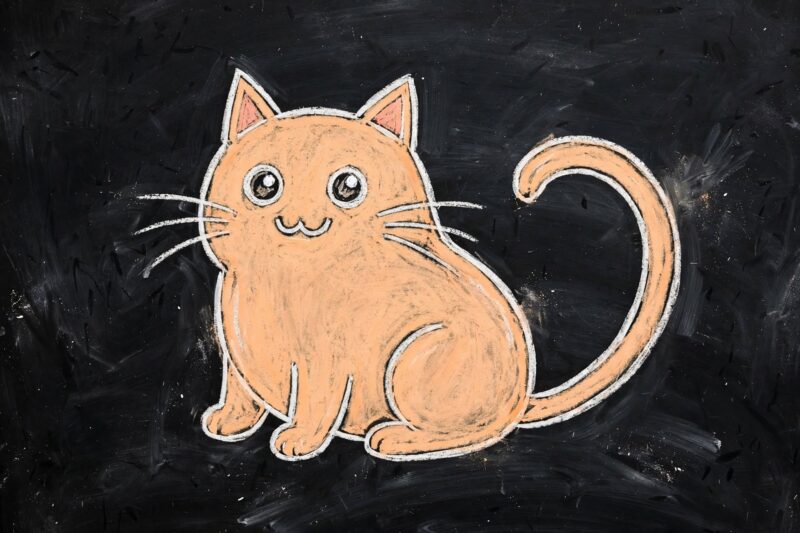 chalkboard cat