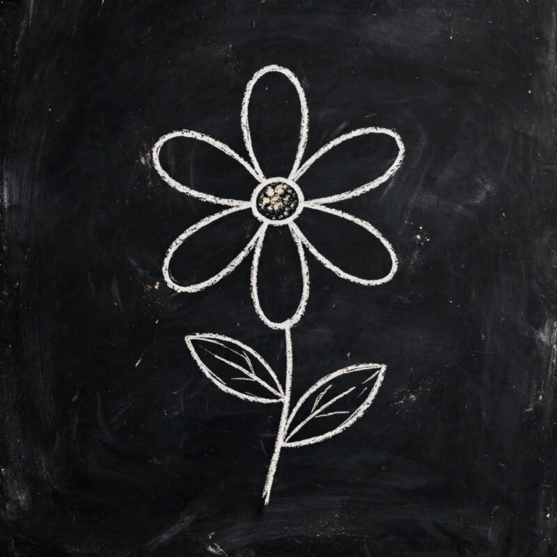 chalkboard daisy drawing