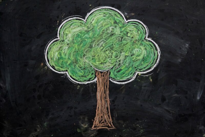 chalkboard tree drawing
