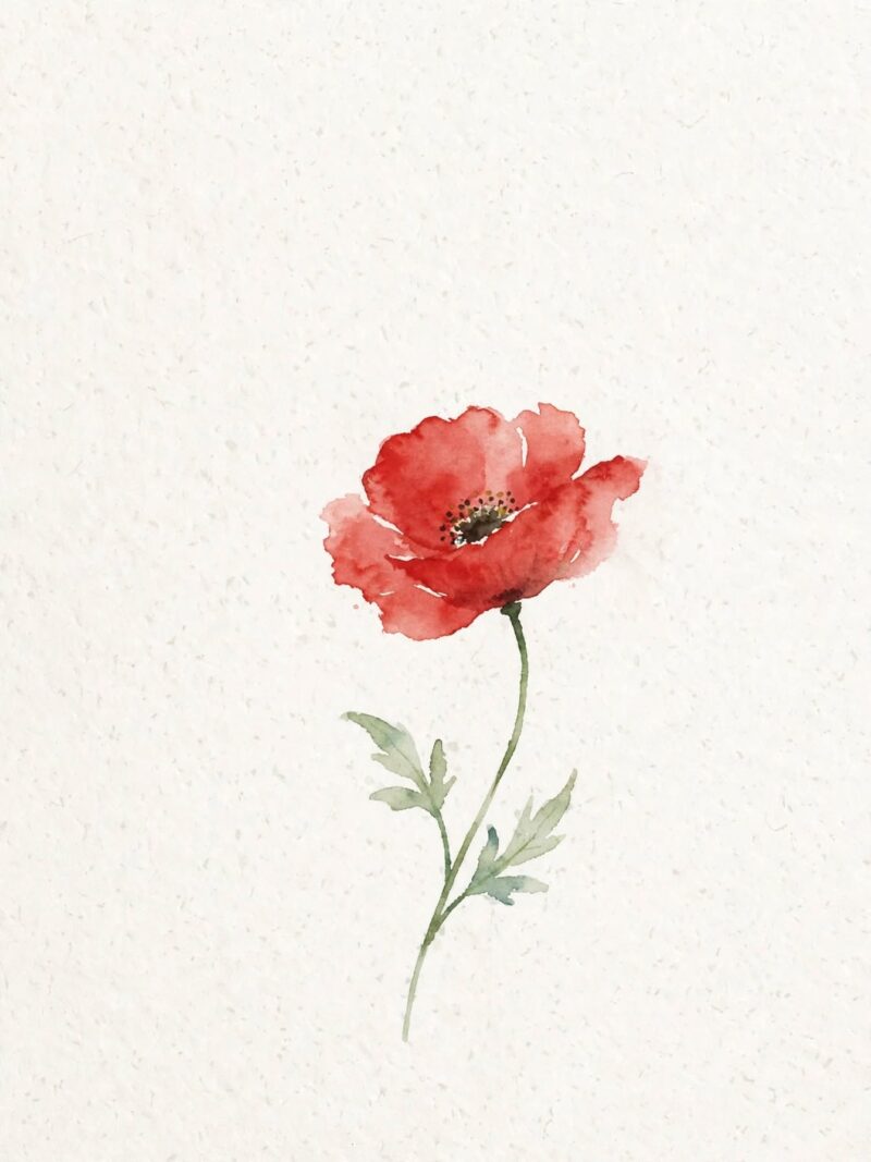 image 20260920 014016