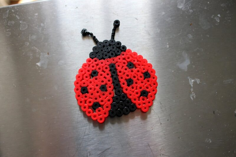 ladybug magnet refrigerator